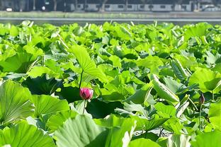 标晚：热刺有意布鲁日18岁边锋努萨，将与切尔西竞争